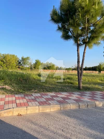 Gulberg Green Block B 05Kanal 140series Developed Possession Farmhouse Plot Available For Sale