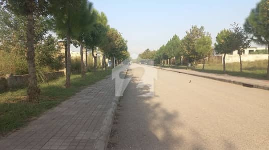 Prime Location Gulberg Greens - Block C Residential Plot Sized 5 Kanal Is Available