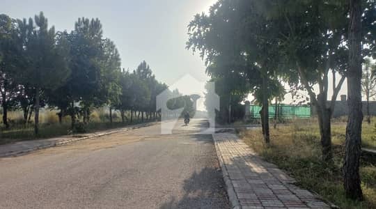 To Sale You Can Find Spacious Prime Location Residential Plot In Gulberg Greens - Block D