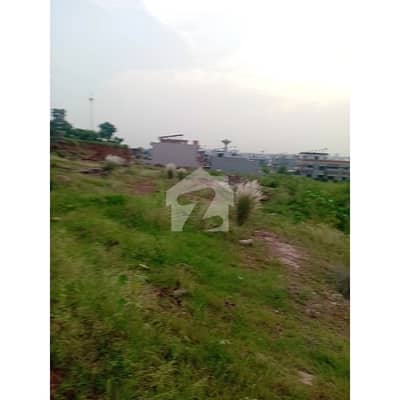 Beautiful Location Plot For Sale In F-14