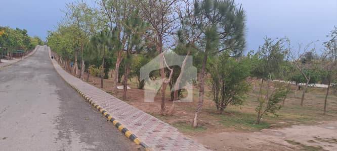 گلبرگ بزنس اسکوائر گلبرگ,اسلام آباد میں 14 مرلہ کمرشل پلاٹ 13.0 کروڑ میں برائے فروخت۔