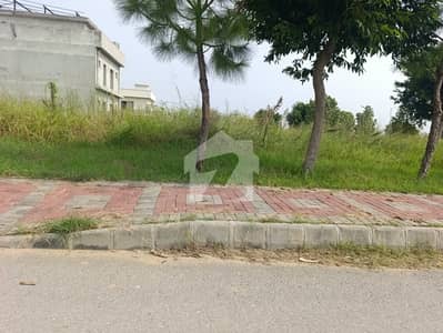solid land plote for sale solid land plote for sale