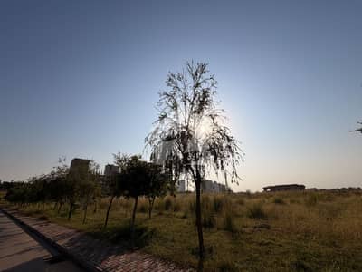 Ready For Construction 10 Kanal Corner Farmhouse Plot, Block D, at Investor Rate