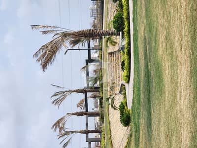 Radio Pakistan CHS 240 Square Yards Transfer Plot