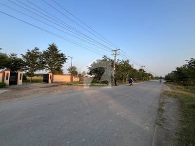 2 Kanal And 3 Kanal FarmHouse Land for Sale at Barki Road | Just 1-KM Away From Dera Zafar Abbas | Very Reasonable Price | 1.25 Crore Per Kanal Demand | Next to Abdul Qadir Cricket Academy