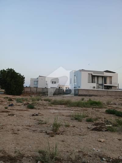 1000 Yards | DHA Phase 8 | 120 FT Front |URGENT SALE