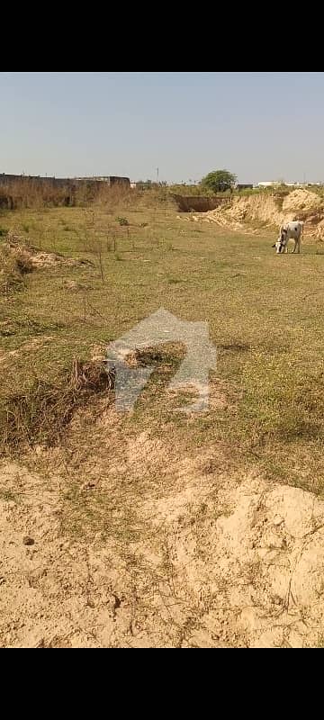 F-15/4 Plot, 27 Clear Land, Level highted Area