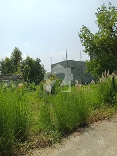 Residential Plot for Sale in Zamar Valley Islamabad