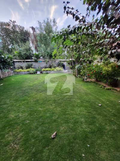 1000 Yards Portion For Rent