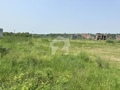 Plot no 797 For Sale