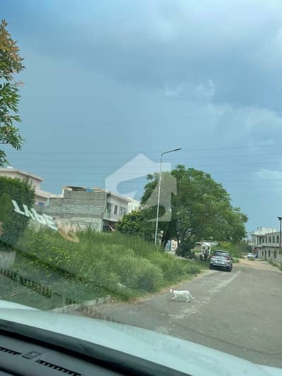 JAMMU KASHMIR Zone 4 Beautiful Location Farm House for Sale