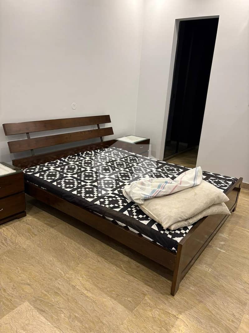 luxury room luxury room