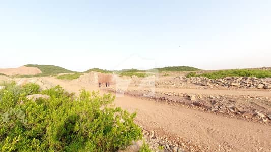 A Spacious 1 Kanal Residential Plot In C-14