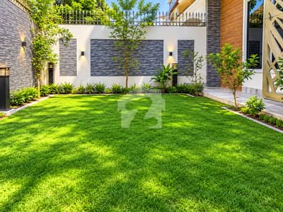 Beautiful House is for SALE in Investor Rate