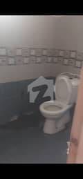 7 7