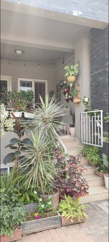 upper ground apartment