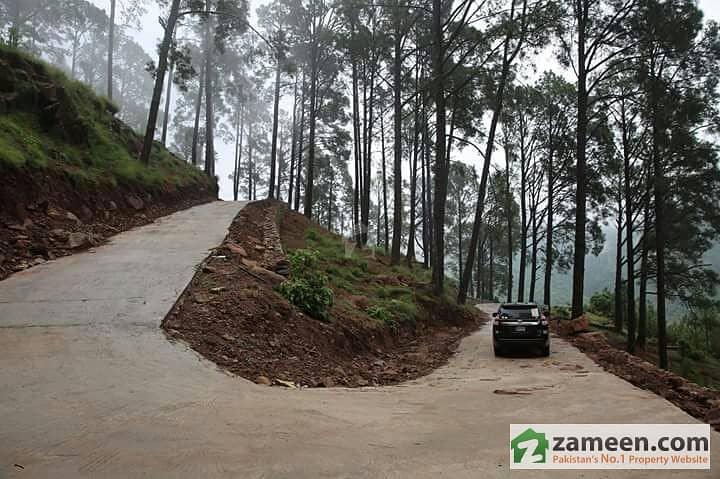 10 Marla Residential Valley View Plot For Sale In New Murree