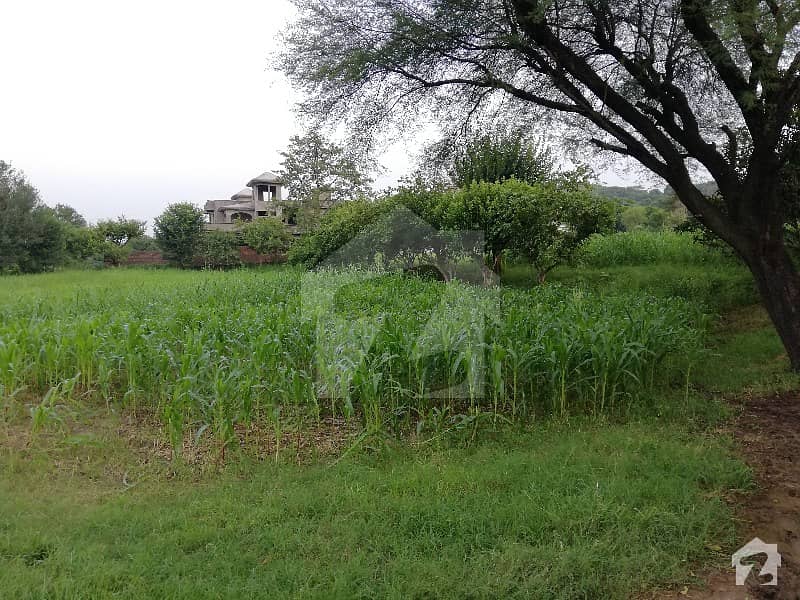 Agricultural Land Is Available For Sale