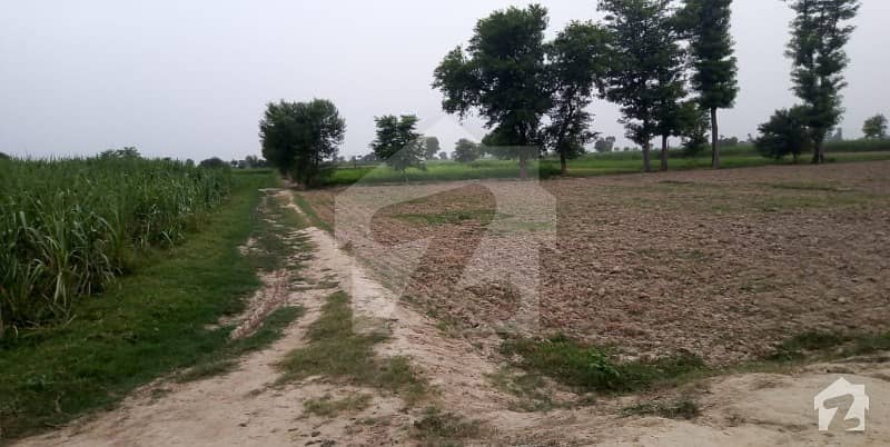 Agriculture Land Renala khurd Shergarh Road Chak No 28AL