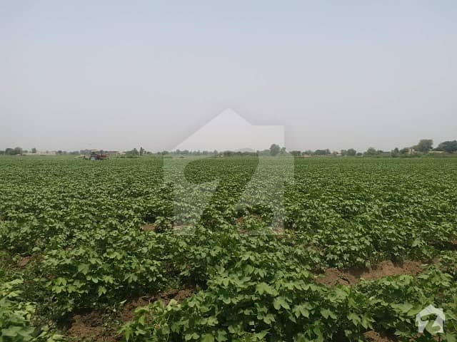 4 Acre Agricultural Land For Sale