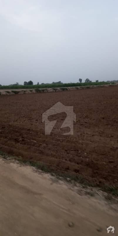 Agriculture Land Renala khurd Shergarh Road Chak No 28AL