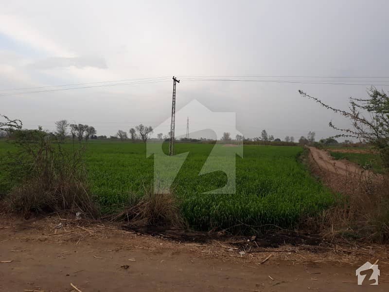 Agricultural Land Is Available For Sale Jaranwala, Faisalabad