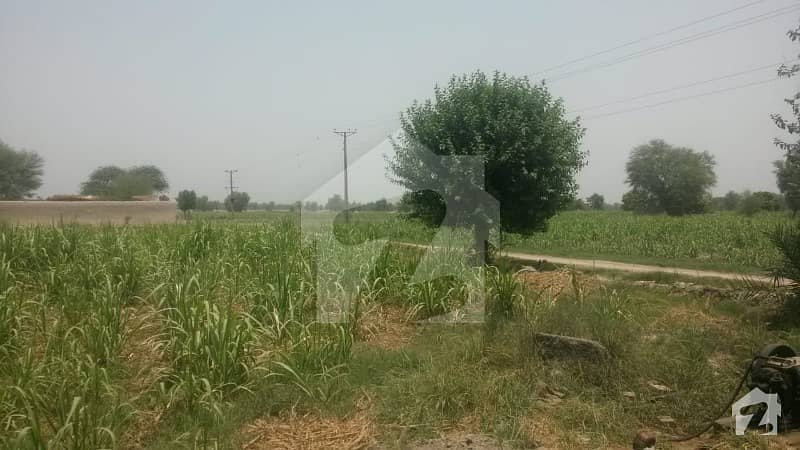 Agricultural Land Is Available For Sale Near Taranda Saway Khan Agricultural Land Is Available For Sale Near Taranda Saway Khan
