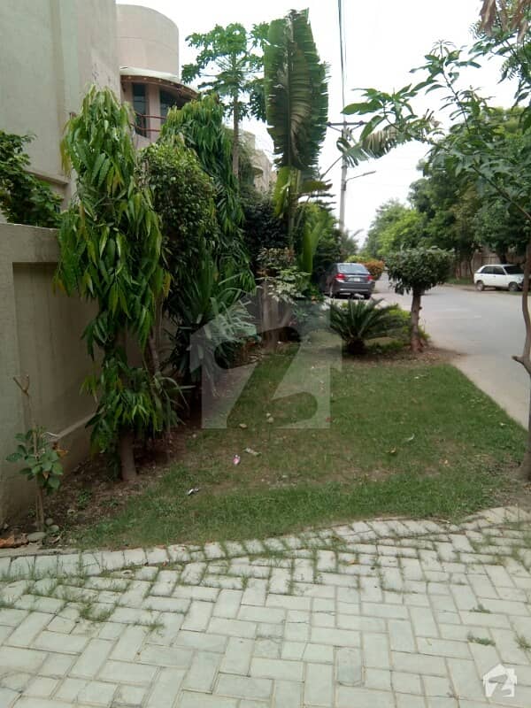 10Marla Single Story Full House For Rent. In Old Officer Colony Lahore