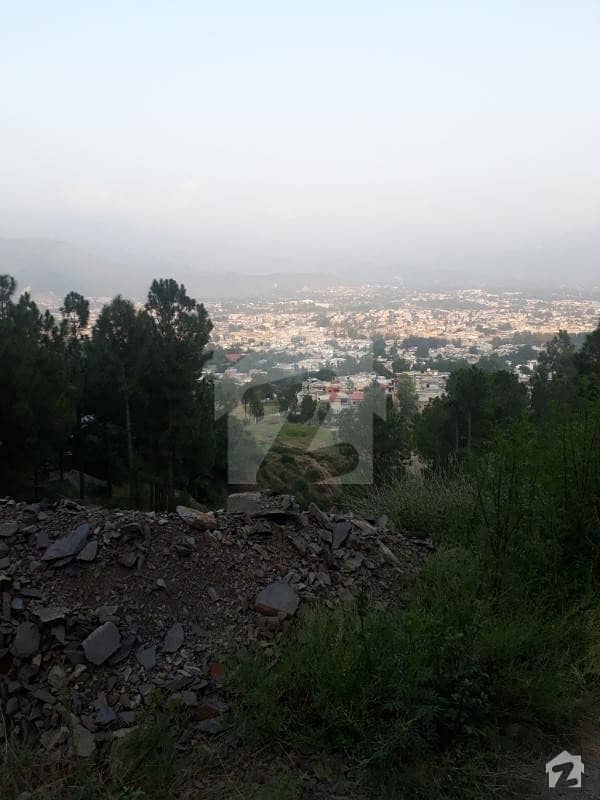 1 Kanal  City View Plot In Kaghan Colony