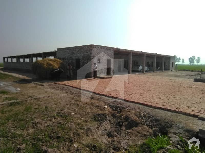 11 Acre Land Including 4 Kanal Dairy Farm Land 11 Acre Land Including 4 Kanal Dairy Farm Land