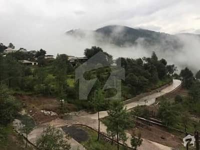 Farm House Land For Sale In Murree Hills Residencia