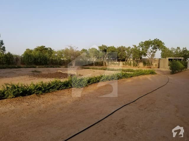 4480 Sq Yd Independent Brand New Farm House Near Dhumba Goat Peaceful Location