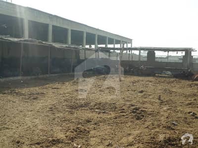 Korangi Sector 9 Bilal Colony 800 Sq Yard Cattle Farm For Sale
