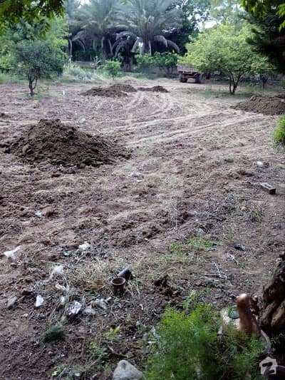 10 Kanal Farm House Land Available On Rent In Orchard Scheme Islamabad 10 Kanal Farm House Land Available On Rent In Orchard Scheme Islamabad