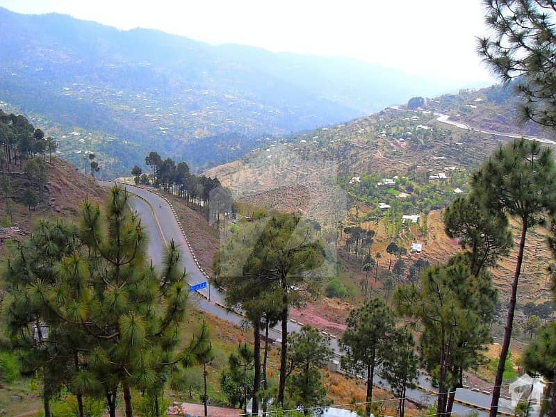 Murree Hills Residencia Plot Available For Sale