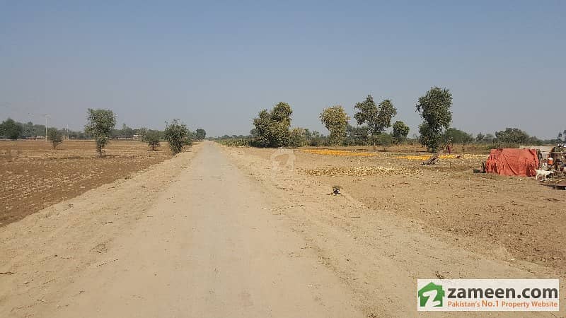 15 Acre Agriculture Land For Sale