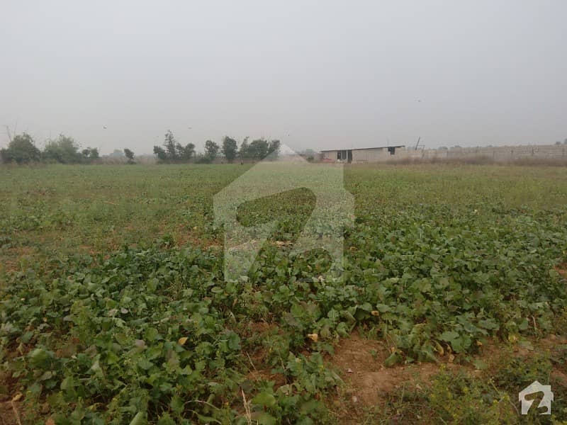 Agriculture Land For Rent In Chak Shahzad Farms