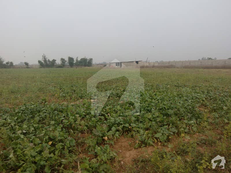 Agriculture Land For Rent In Chak Shahzad Farms Chak Shahzad, Islamabad