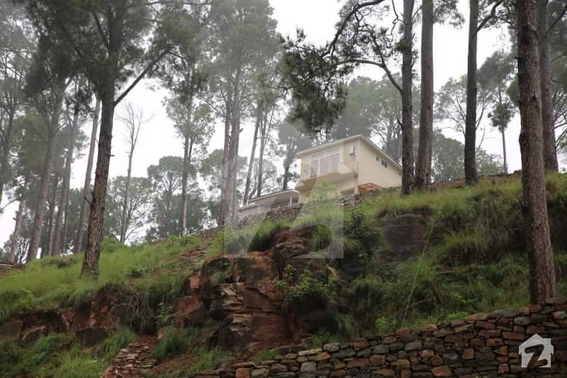 Beautiful Residential Plot For Sale In The Heart Of New Murree