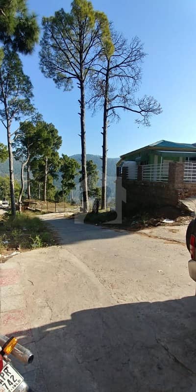 Build Your Vacation Homes On The Hills Of Patriata New Murree