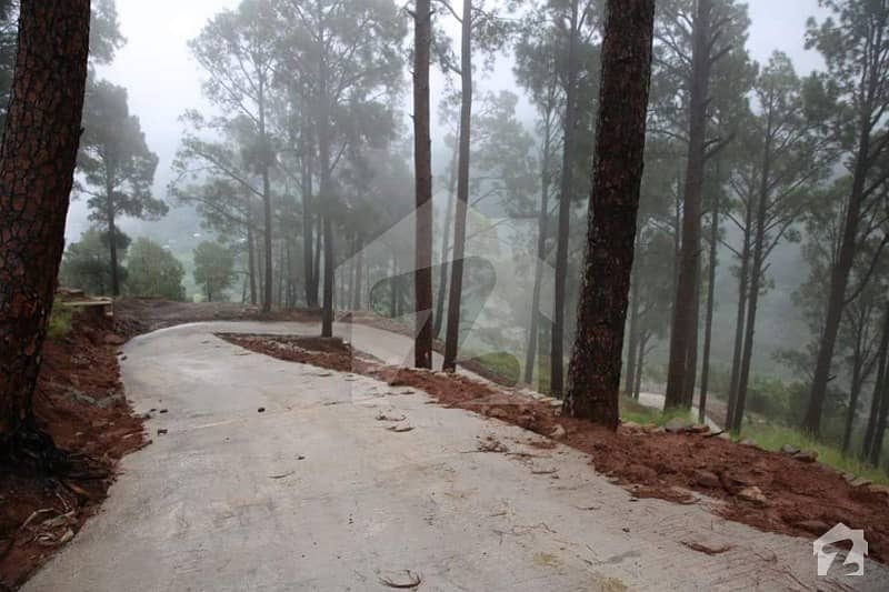 1 Kanal Plot Available For Sale In New Murree