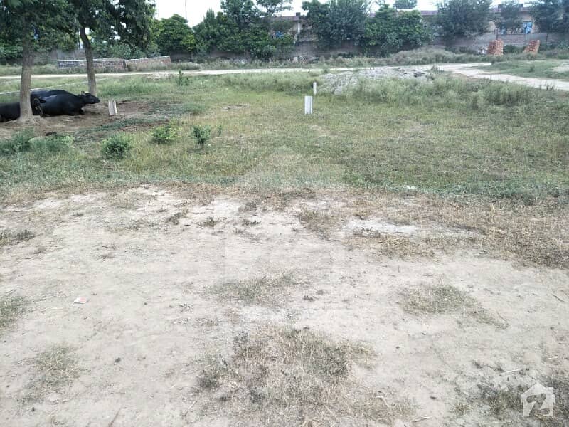Sheikh Tahir  Plot Is Available For Sale