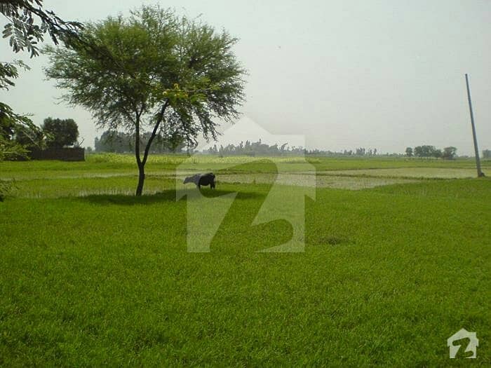 10 acer agriculture land for sale Manhala Road, Lahore ID13189176