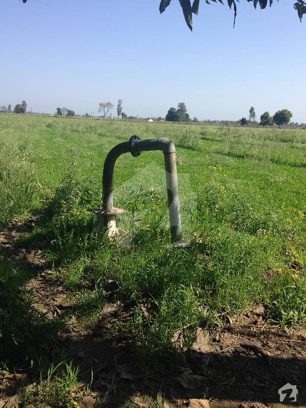 Ideal Location Agricultural Land with Farm House and Tube Well For Sale Ideal Location Agricultural Land with Farm House and Tube Well For Sale