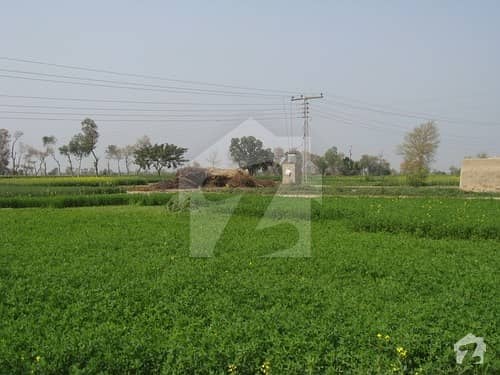 Agricultural Land For Sale In Khanewal Punjab Near Multan 25 Acre 200 Kanal Great Chance For Investors  Price On Call
