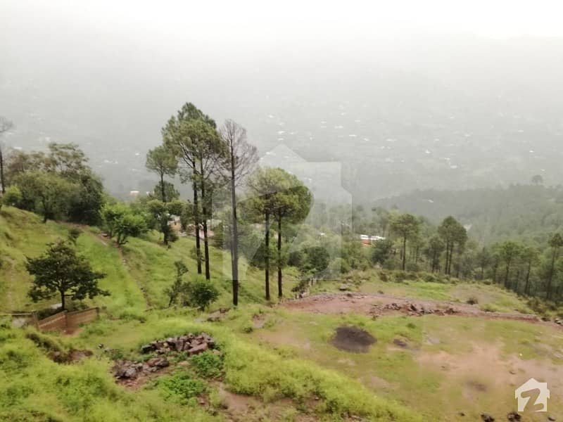 Residential Plots For Sale In Valley View Residency Main Expressway Lakot Murree At Cash Or Installments Residential Plots For Sale In Valley View Residency Main Expressway Lakot Murree At Cash Or Installments