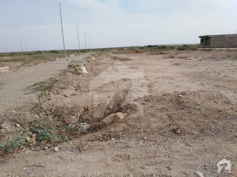 120 Sq Yd Plot Is Available In Wali Town