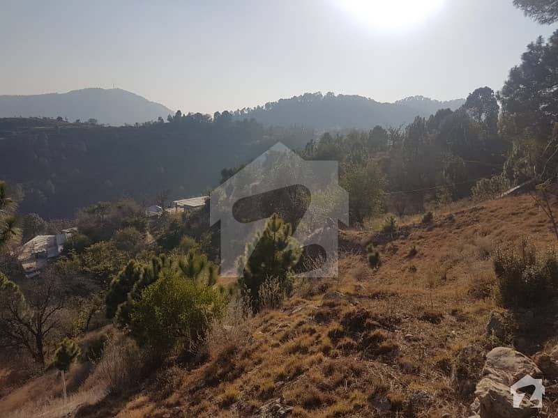 8 Kanal Land For Farm House Khanpur, Haripur ID13318546