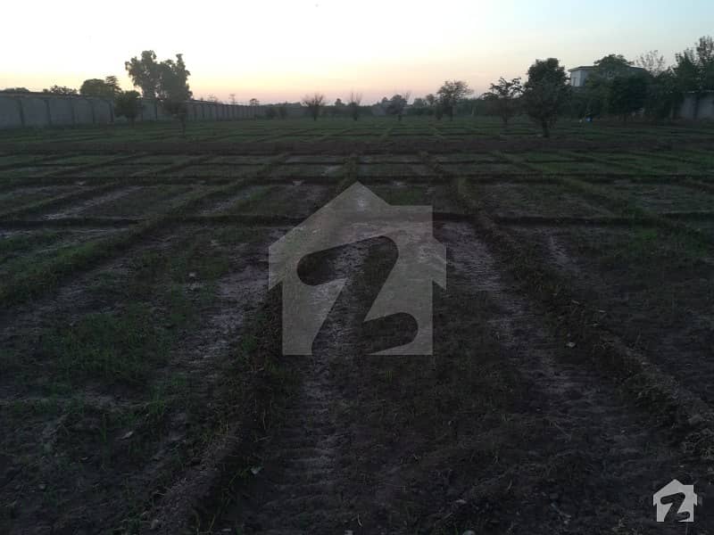 Farm House Plot Is For Sale In Chak Shahzad Islamabad