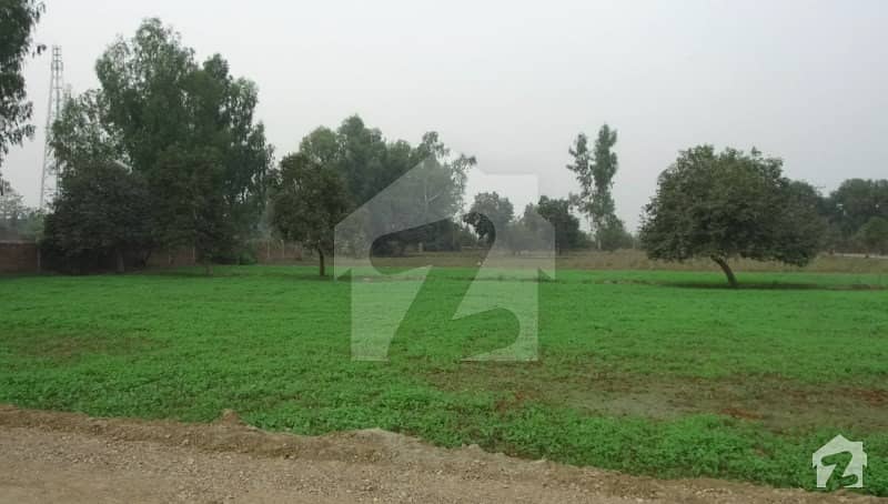 Farm House Land For Sale On Bedian Road